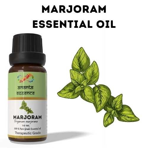 Ananta Marjoram Essential Oil 10ml Pure Natural Aromatherapy Diffuser Oil