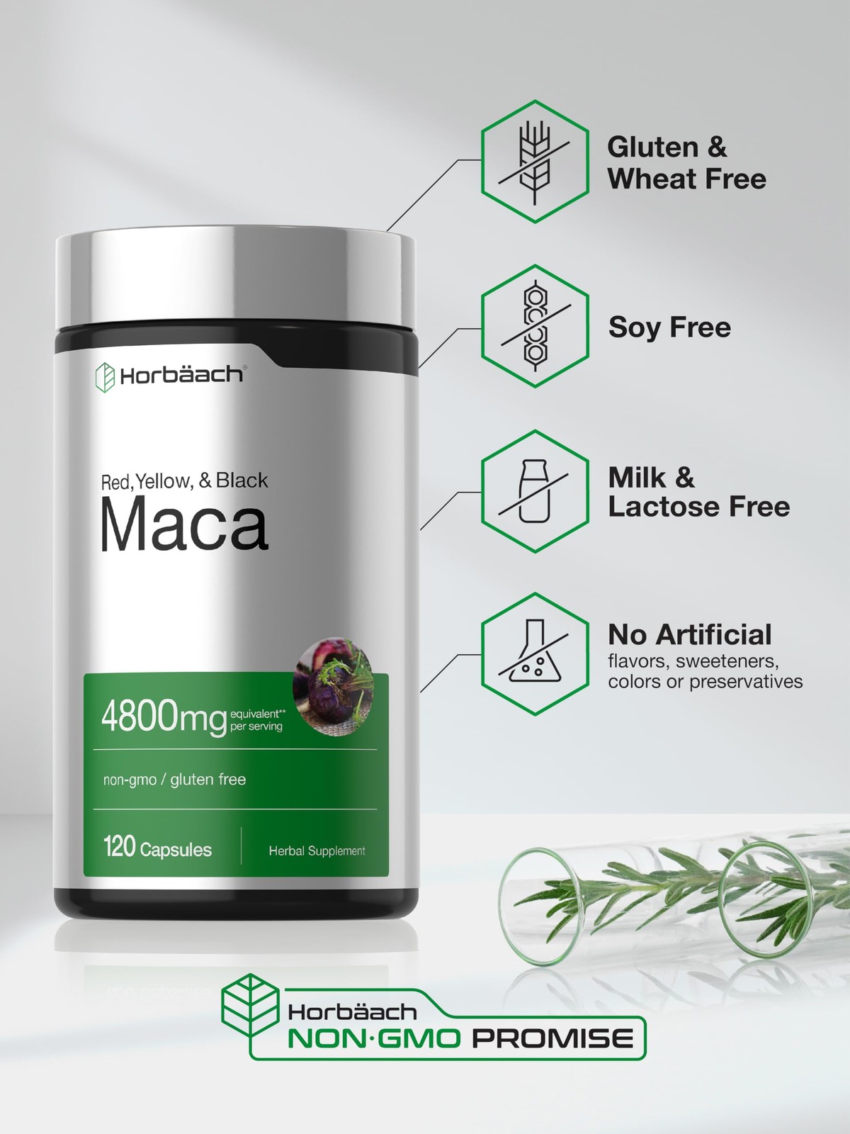 Maca Root Capsules for Men and Women | 120 Pills