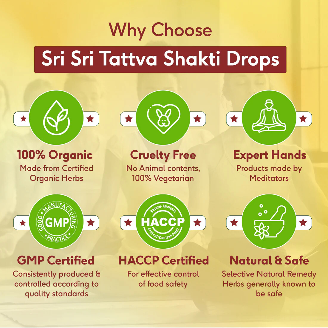 Sri Sri Tattva Ayurveda SHAKTI Drops 10ml, Helps Build Immunity