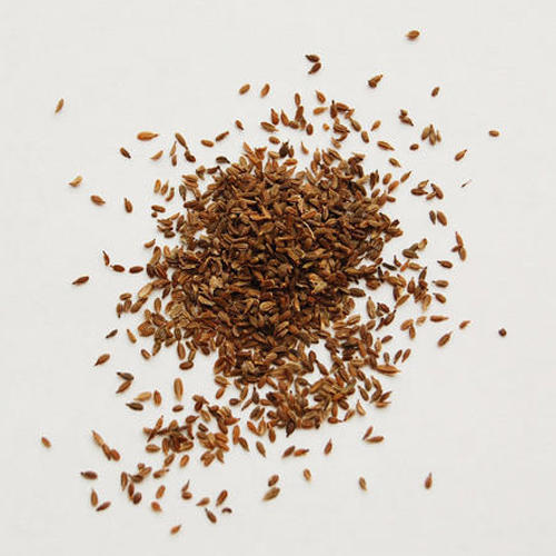 Edible Carrot Seeds (Gajar K Beej) Fresh Ground Indian herbs FREE SHIPPING