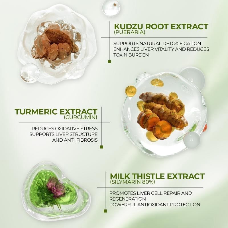 Milk Thistle Liver Detox Supplement – 300mg Silymarin*-OXYENERGY – 90 Veg Capsu