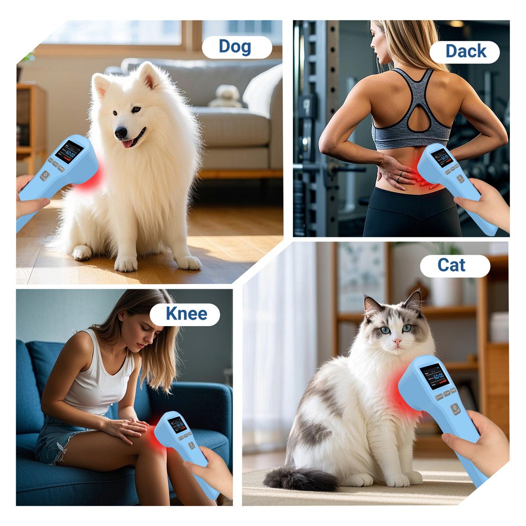 20Diodess 880mW Laser Therapy 650nm 808nm for Frozen Shoulder & Tendinitis Pain