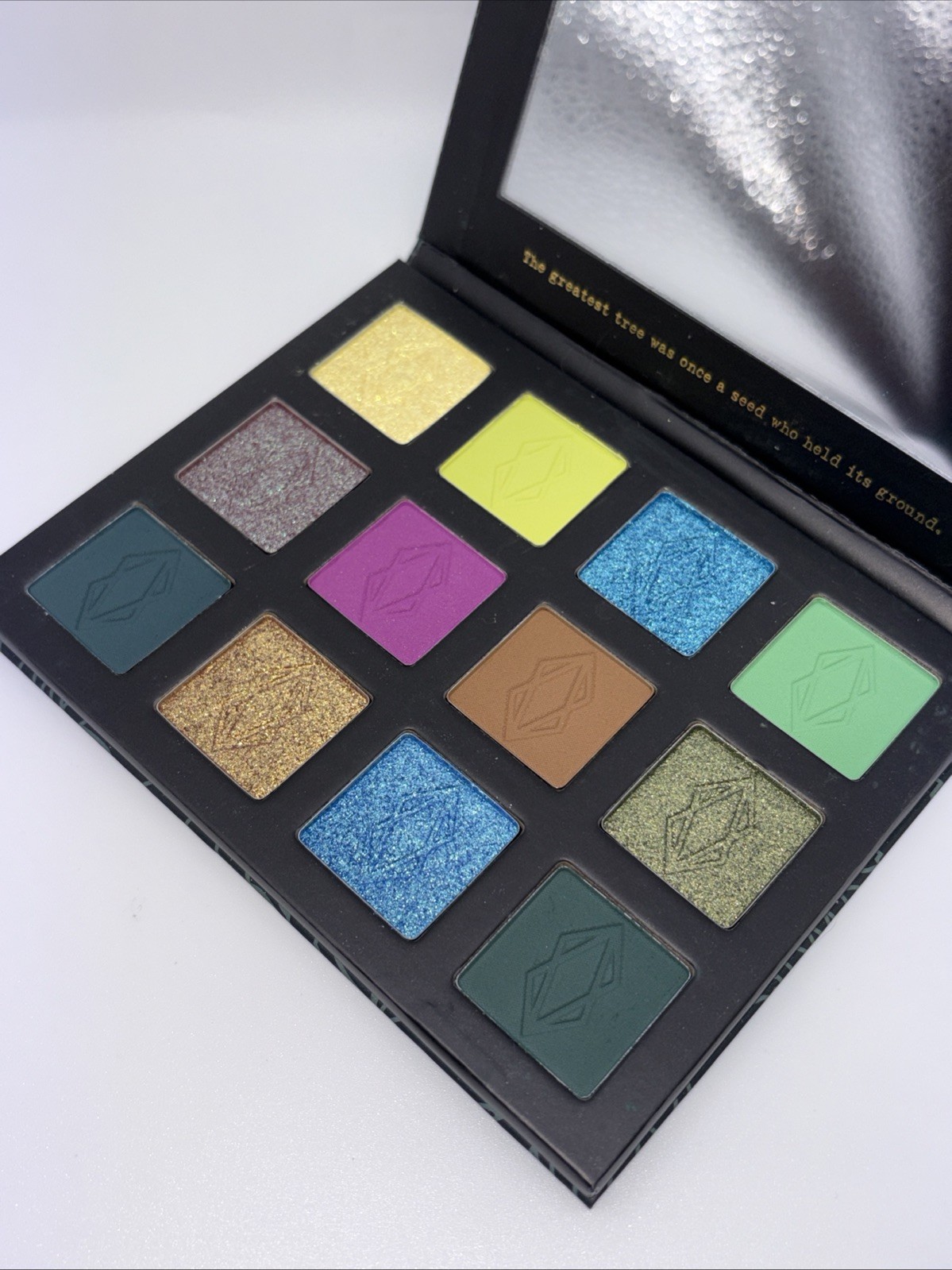 NIB! Lethal Cosmetics Multi-Color 12-Pan Pressed Powder Eyeshadow Palette -19.2g