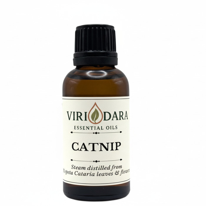 Organic Catnip Essential Oil – 100% Pure & Natural – Free Shipping