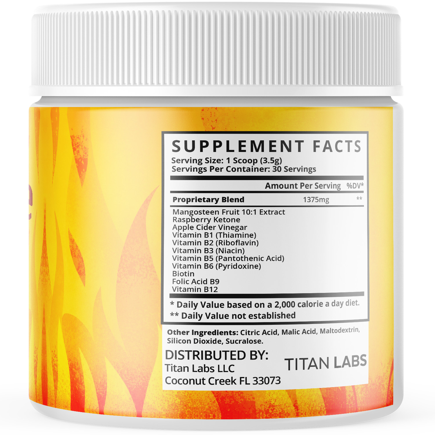 (3 Pack) Burntide Powder Weight Management Support Formula Burn Tide 90 Servings